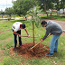 Parque Recreativo do Setor “O” é entregue à comunidade de Ceilândia