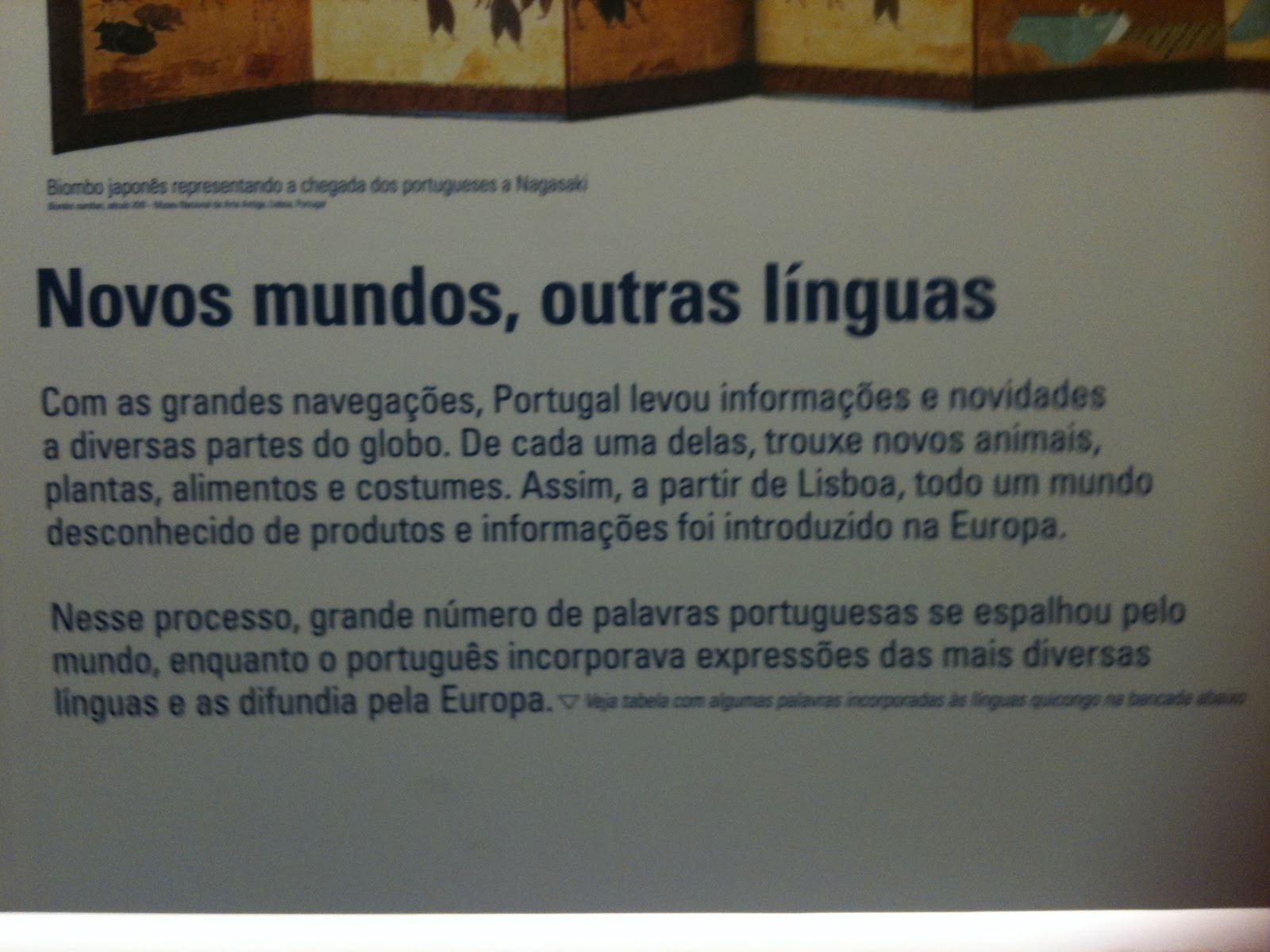 Exemplos Que Abordam A Língua Portuguesa No Brasil