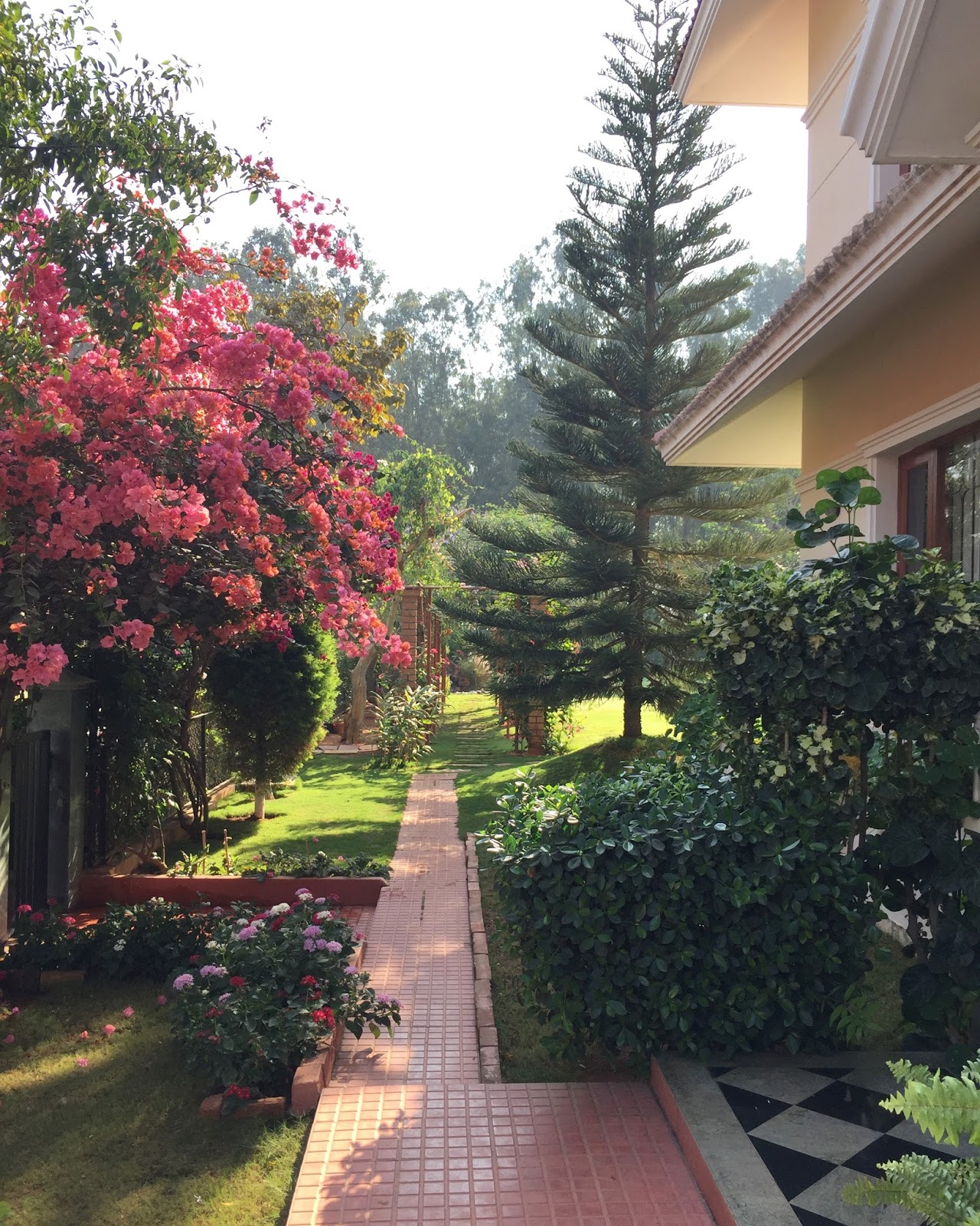 red house garden: a south indian garden