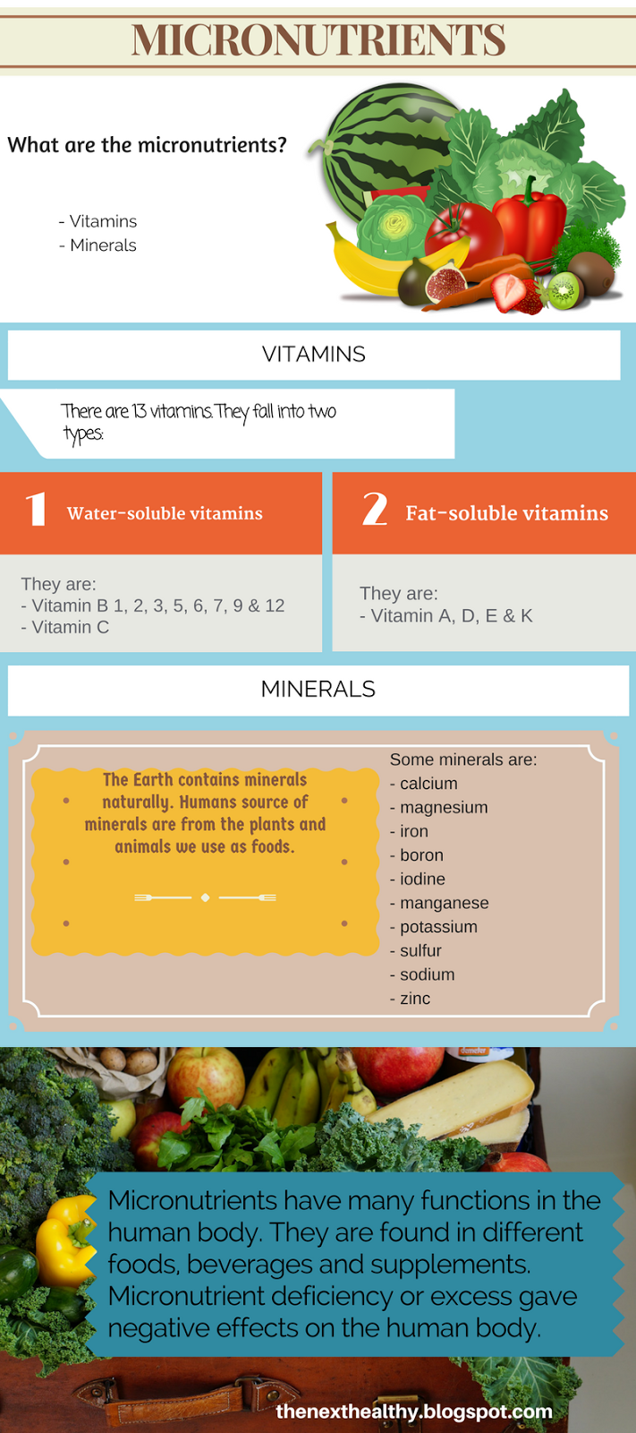 Micronutrients What they are and dietary sources The Next Healthy