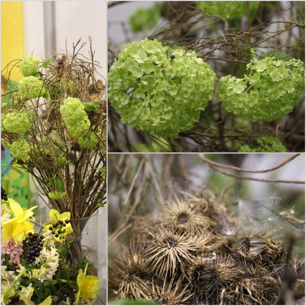 Rentnerblog Klimaschutz Deutschland Rettet Wieder Einmal Die Welt