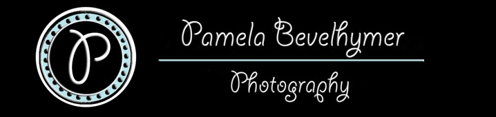 Pamela Bevelhymer Photography