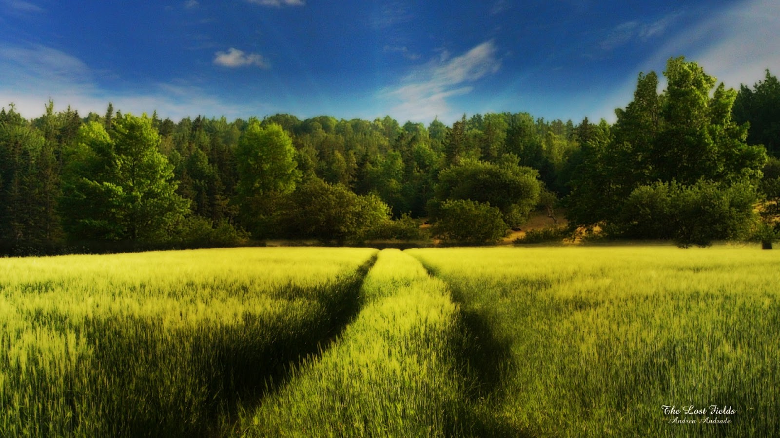 Unique Wallpaper: Unique And Beautiful Wallpaper HD