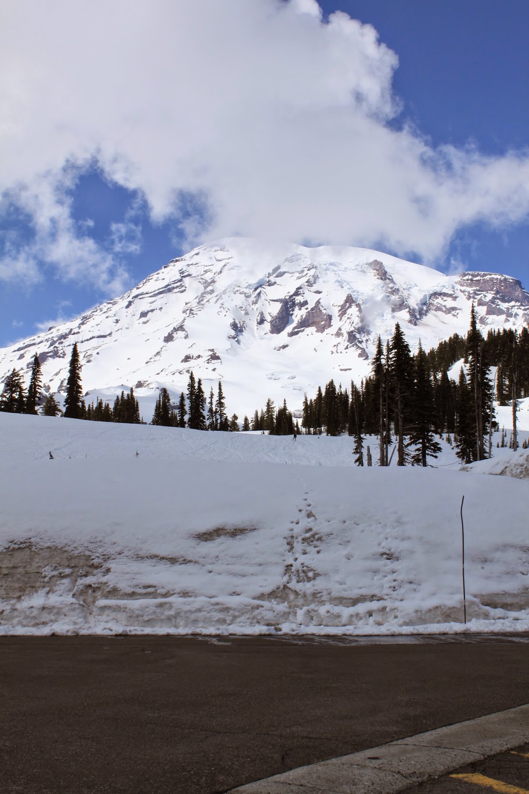 3 Fun Facts Mount Rainier