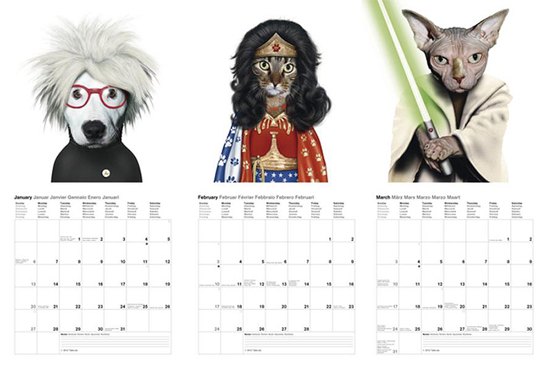 pets rock warhol, wonder woman and yoda