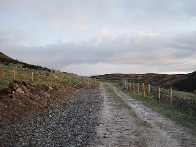 Deeside Walks: the path leads from Lary car park towards Morven