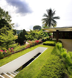 contemporary tropical tanga modern garden decor idea tweet