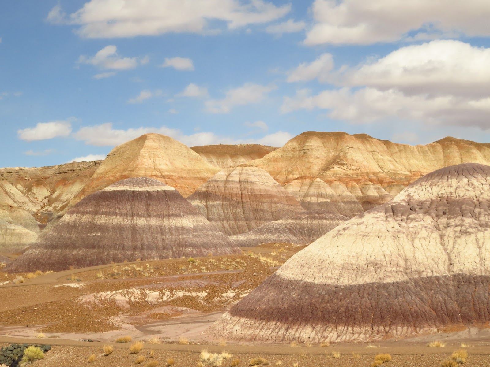 Have Book, Will Travel: Painted Desert National Park
