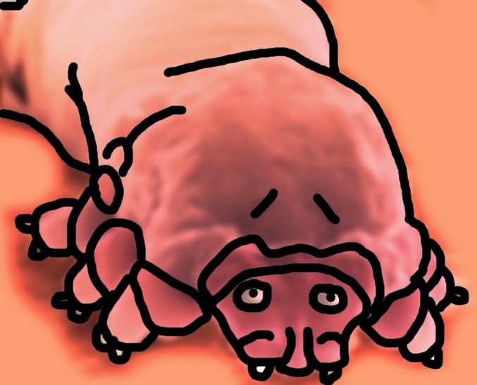 Suzufa In Deinen Augenbrauen Leben Kleine Milben Die Niemals Kacken