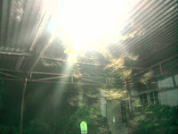 KEISTIMEWAAN LARON