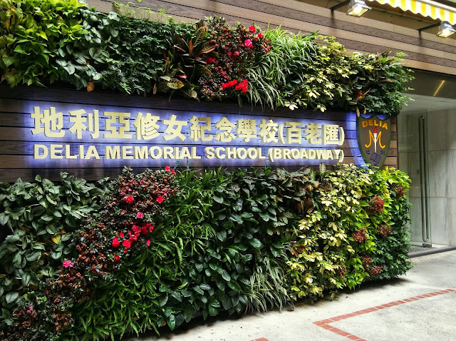 delia memorial school delia memorial school for elementary kids in hong kong