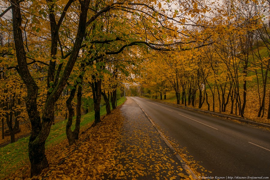 Осенняя прогулка