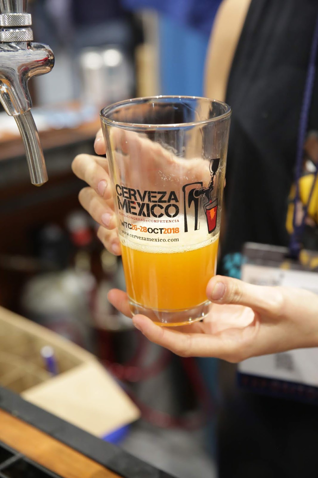 EL CERVECIAFILO LA ESPUMA DE LA CERVEZA