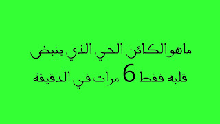 الكائن الحي الذي ينبض قلبه فقط 6 مرات في الدقيقة الكائن الحي الذي ينبض قلبه فقط 6 مرات في الدقيقة