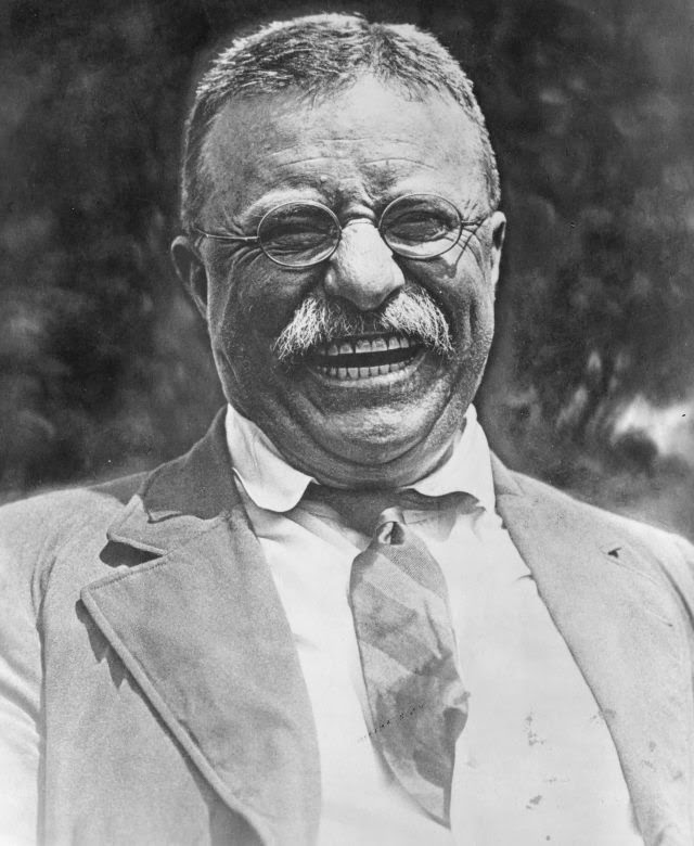 Teddy Roosevelt randommusings.filminspector.com
