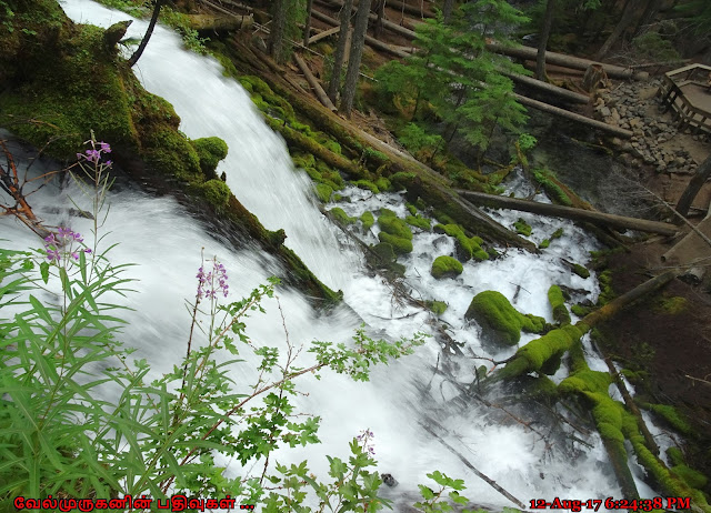 Clearwater Falls South Oregon