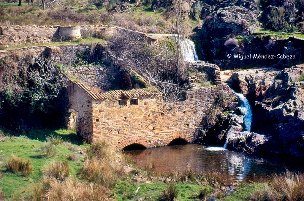 MEDIO NATURAL UN ESPACIO COMPARTIDO Los molinos
