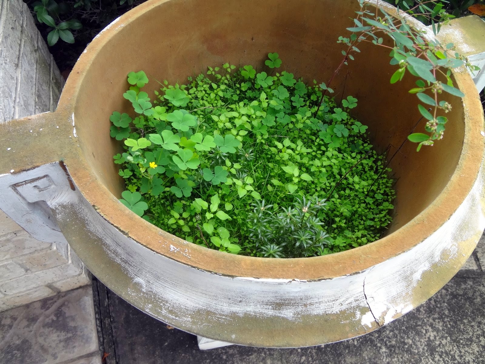 JIM'S LITTLE PHOTO AND POEM PLACE: Alone and Lonesome -- a 'Carp Diem