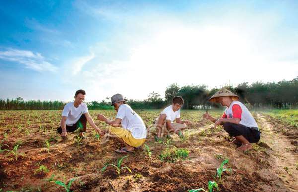 Contoh Rehabilitasi Pertanian - Homecare24