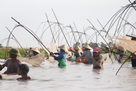 Hang ngan nguoi doi nang bat ca cau may - Anh 6