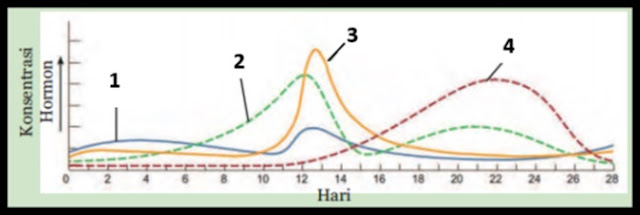 BIOLOGI GONZAGA TRY OUT BIOLOGI UNBK 2018 76  BIOLOGI GONZAGA TRY OUT BIOLOGI UNBK 2018 76