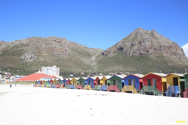 Ciudad del Cabo y Garden Route - Blogs de Sudáfrica - 21-11-18. Península del Cabo. (1)