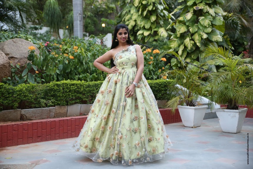 Anchor Shyamala at Naa Peru Surya success meet