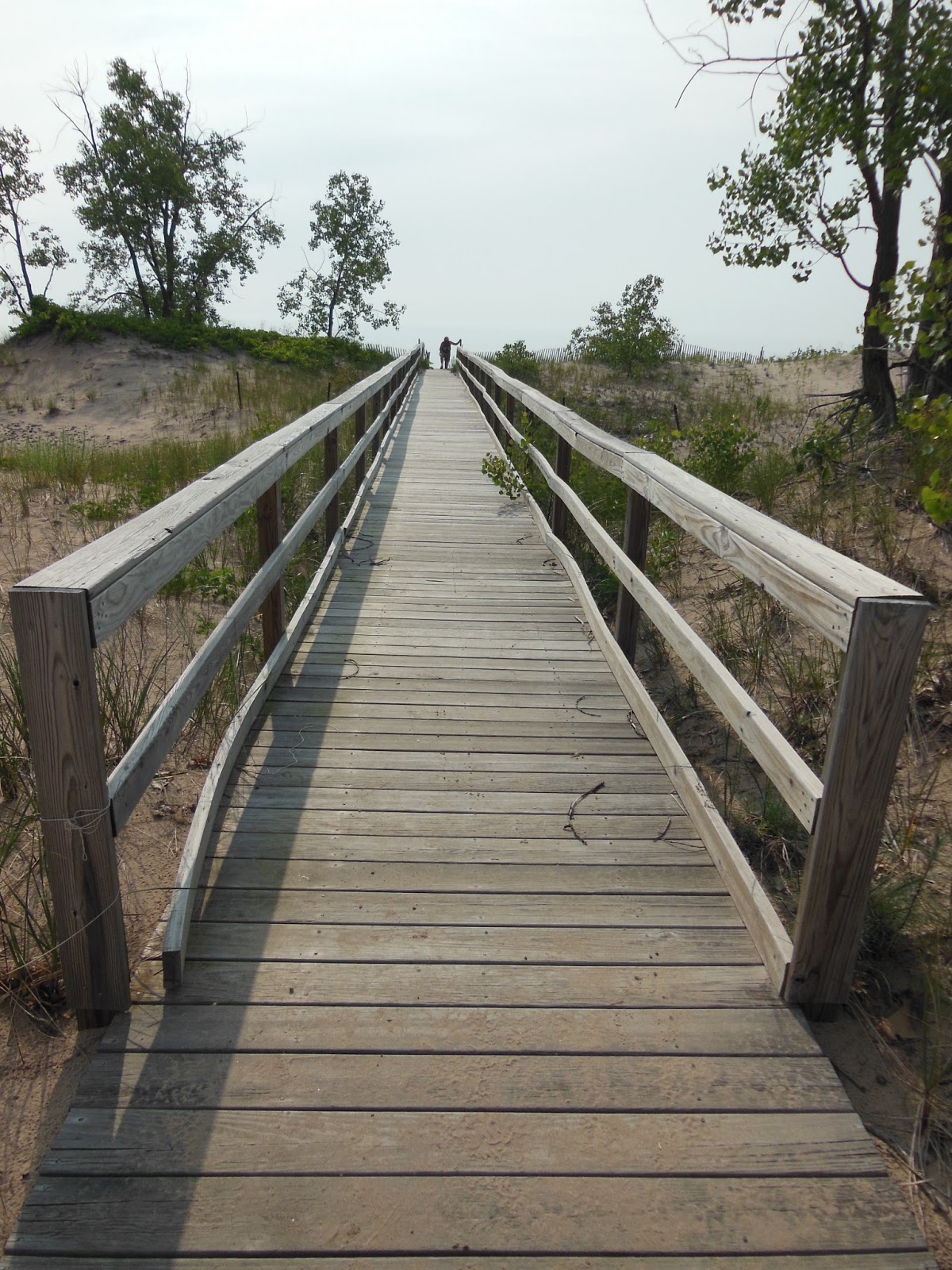 Fishing & Hunting in Oswego County, NY Deer Creek Marsh Wildlife