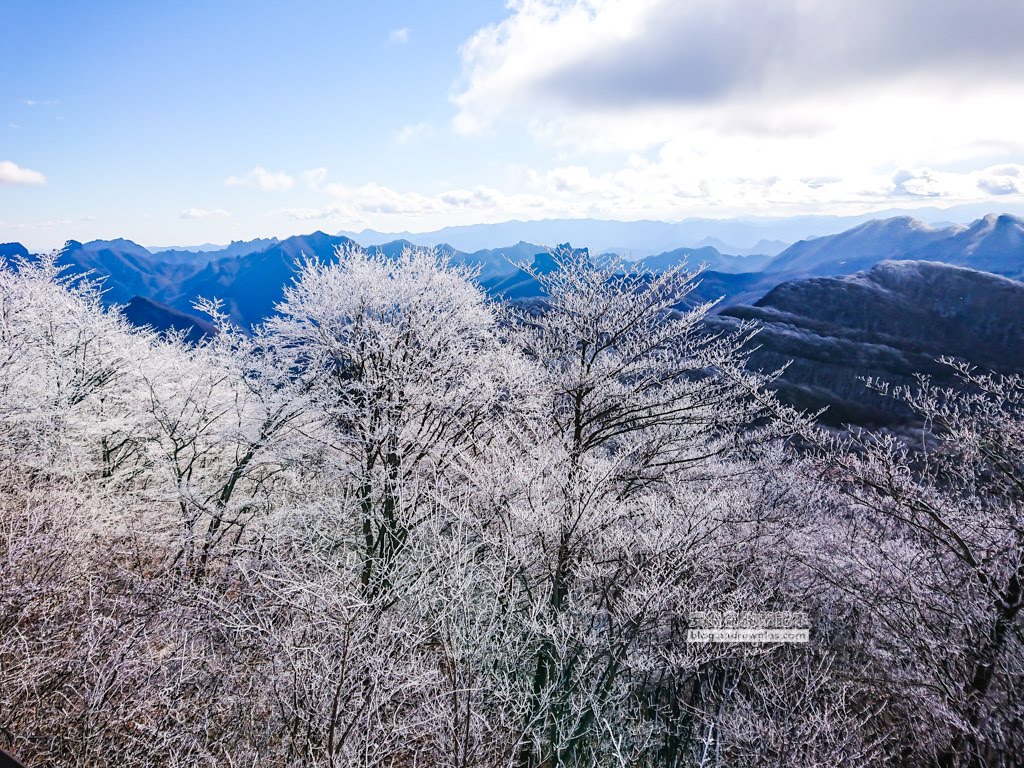 輕井澤王子大飯店滑雪場,karuizawa prince hotel ski resort,輕井澤親子滑雪,輕井澤購物滑雪,輕井澤渡假滑雪