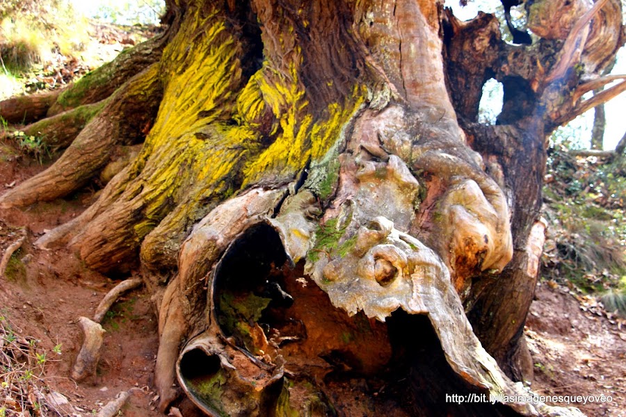 Las Médulas. Ponferrada. León. España