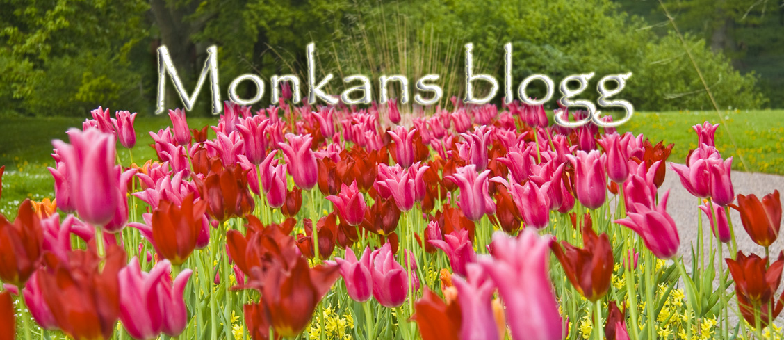 Monkans Blogg