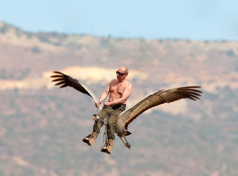 [Image: Putin%2Bflying%2Ba%2Bcrane.jpg]