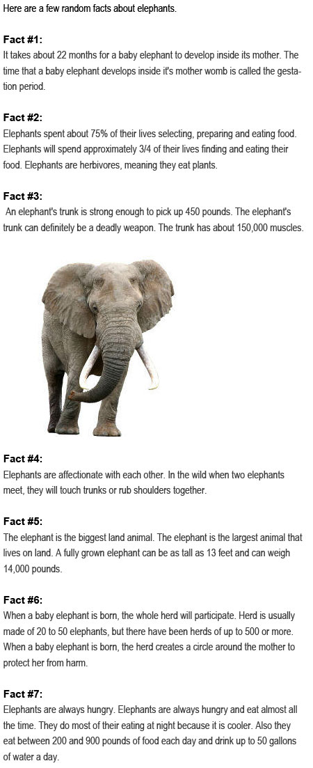 Facts about elephants for kids