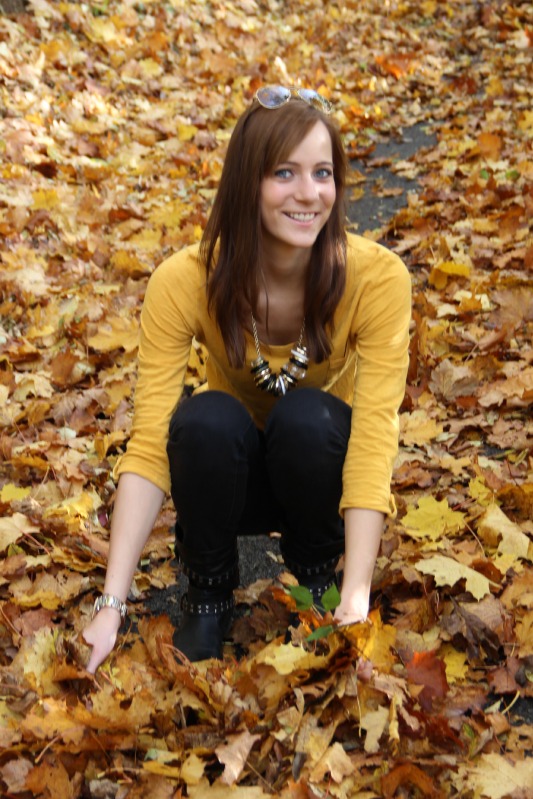 Burgdorfer Kreisblatt