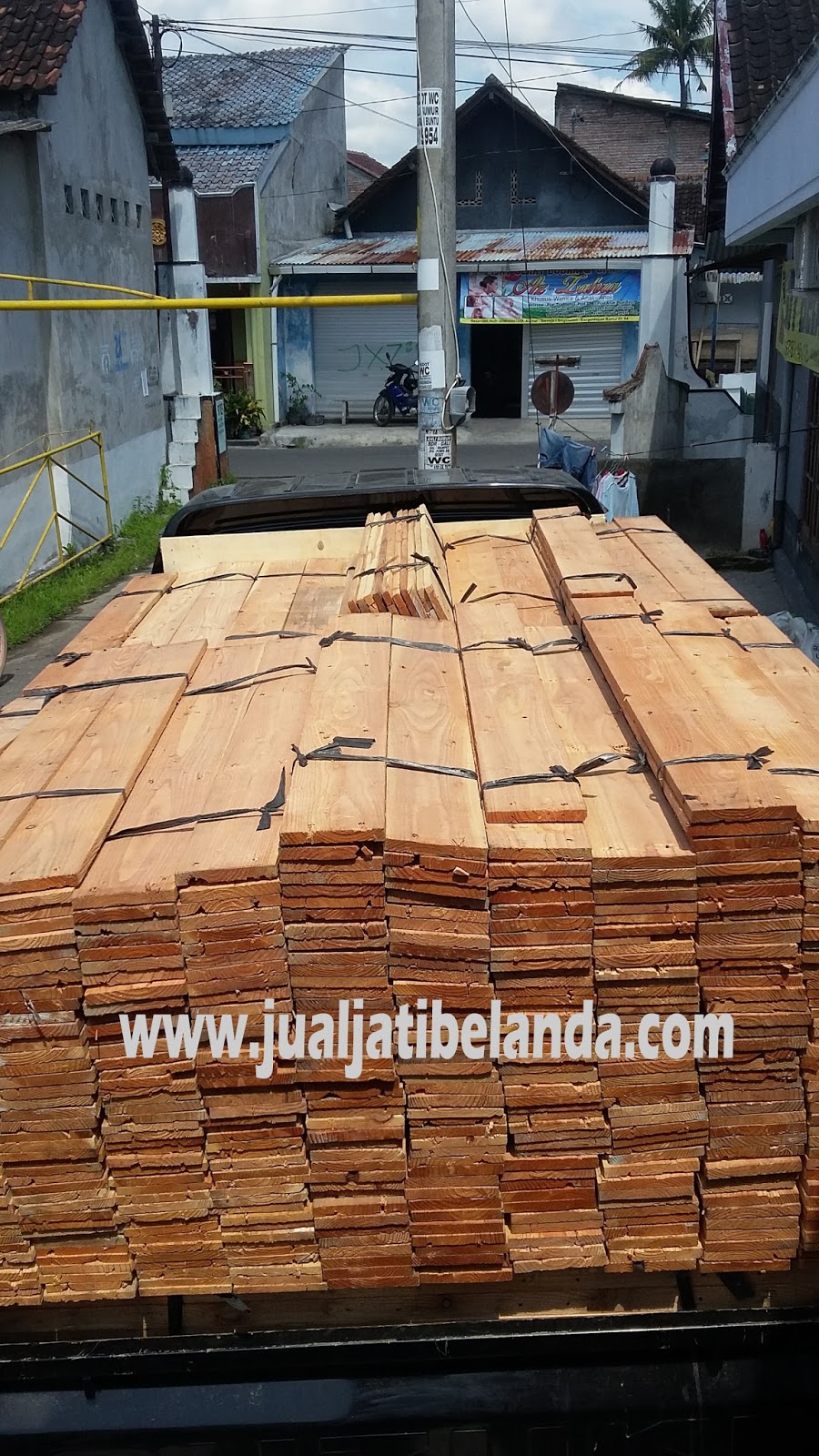 Jual Kayu Jati Belanda Serat Merah Jual Jati Belanda