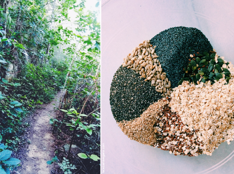 Crackers de semillas