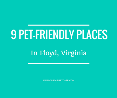 dog-friendly places