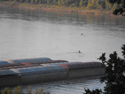 Diamond jacks casino vicksburg ms