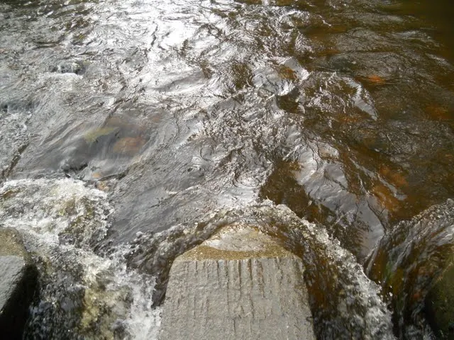 Walk the River Dodder in Dublin - steps across the river