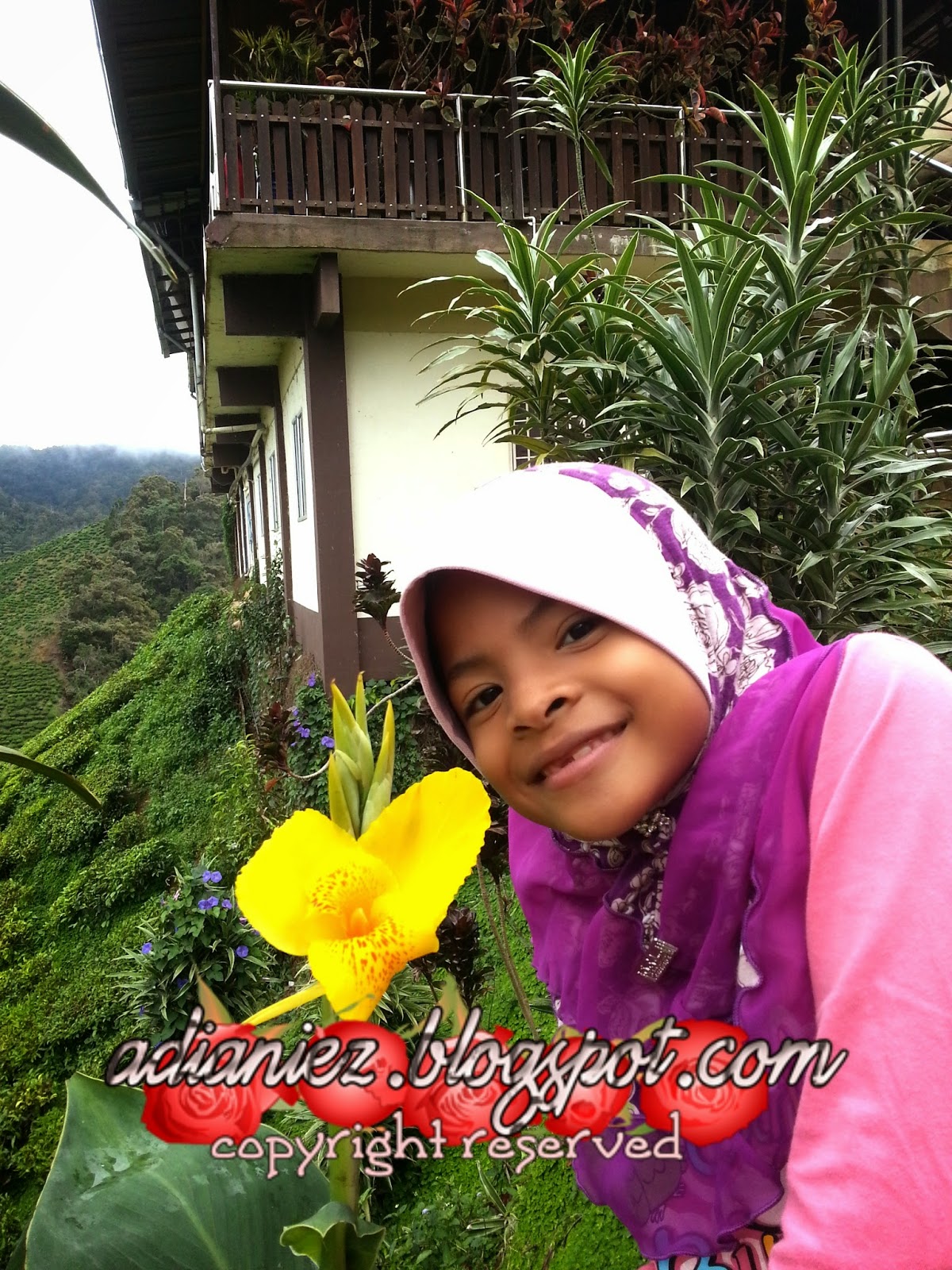 FINALLY, SINGGAH SEKEJAP ~ LATA ISKANDAR & BHARAT TEA PLANTATIONS (CAMERON VALLEY)