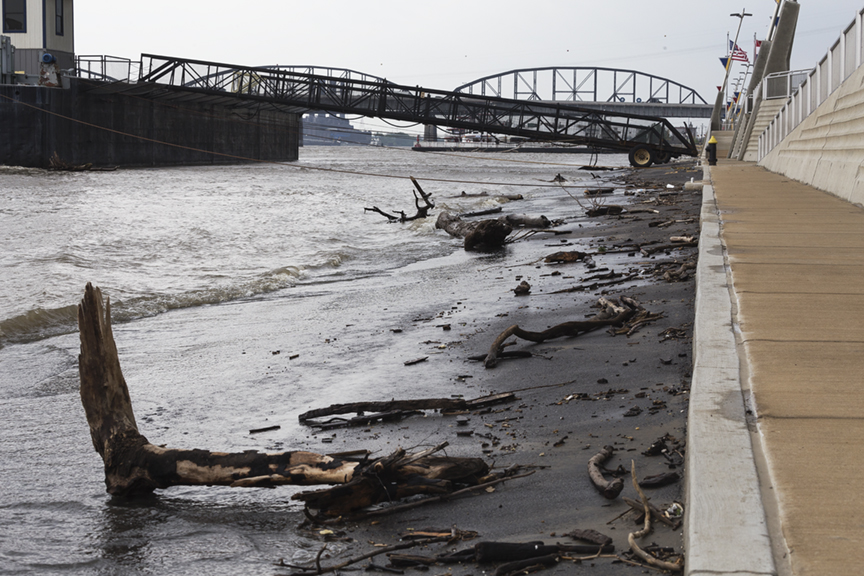 St. Louis Daily Photo Flotsam