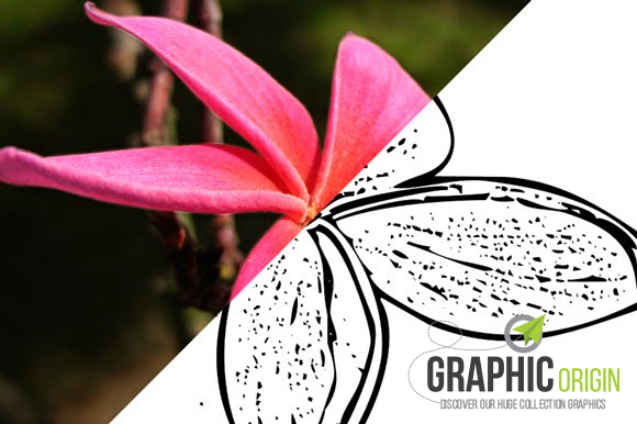 Ink Outline Sketch Photoshop Action Graphic Origin