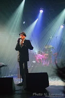 Bashung 2008