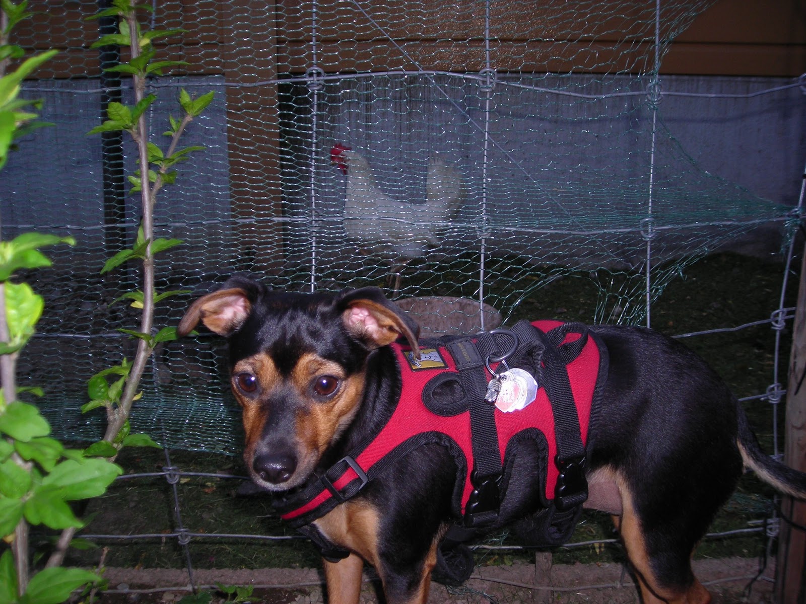 Alltagsheldennetz World Of Pd