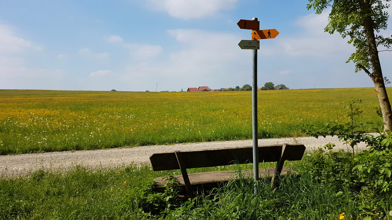 Roland Lenz Biowinzer Biodiversitat Erhoht Die Qualitat Des