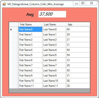 Vb.NET DataGridView Column Average Value