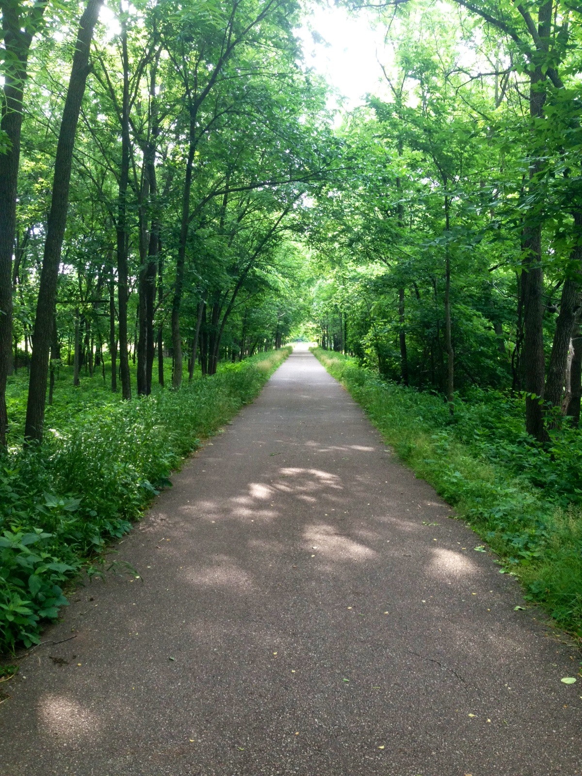 Be The Benchmark Outdoor trail walks a priority for Western Home residents