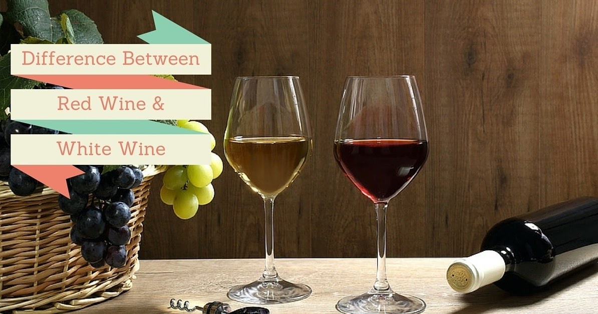 Bottle VAULT Difference Between Red and White Wine