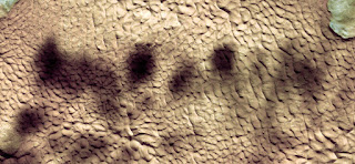 Death emerges from between the dunes of the African desert,their shadows are taking over the color,rising like a bad omen, landscapes of Africa from the air,Munimara Collection of Abstract Naturalism Death emerges from between the dunes of the African desert,their shadows are taking over the color,rising like a bad omen, landscapes of Africa from the air,