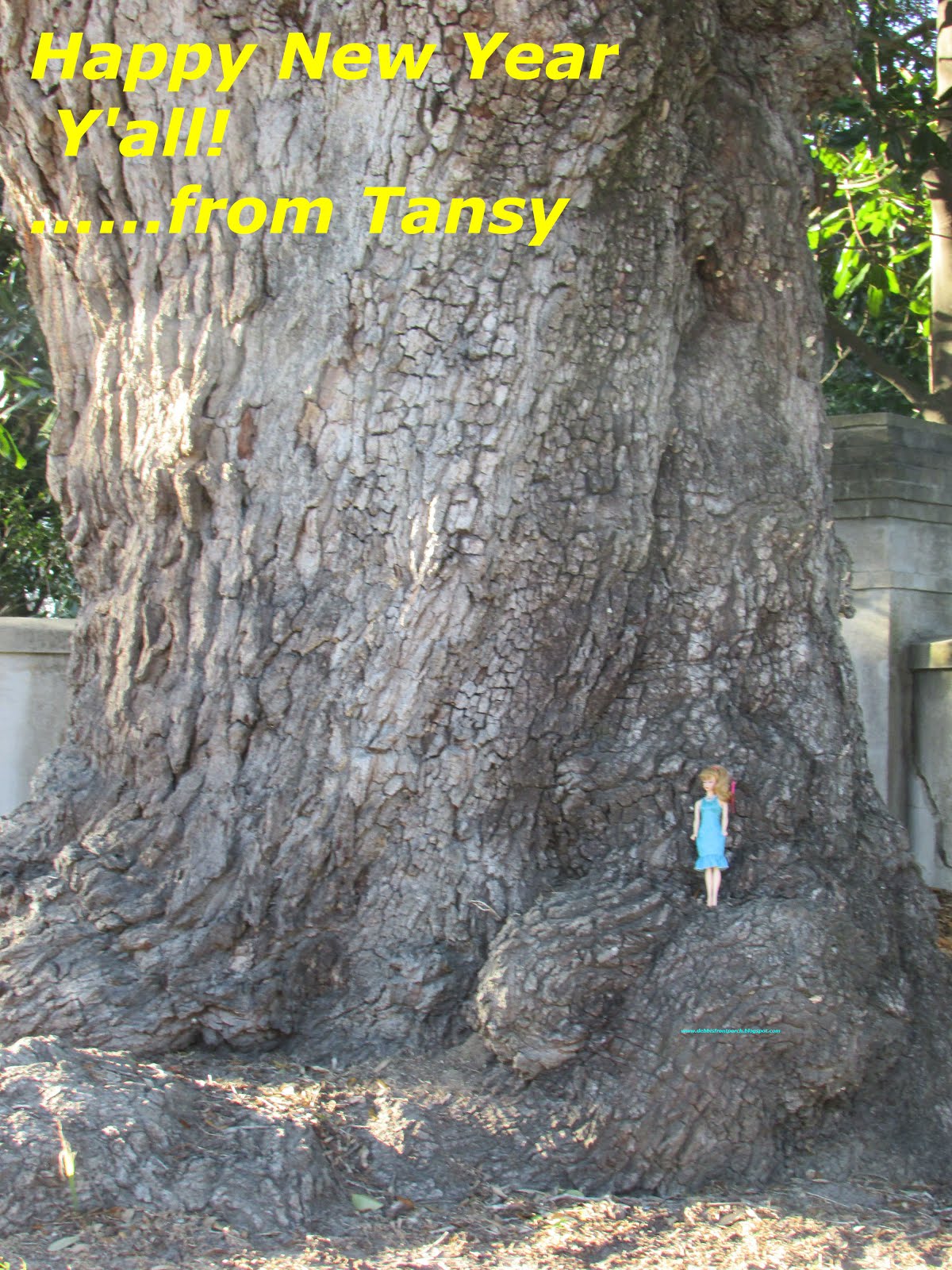 Tansy's Adventures